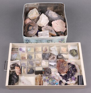 A collection of fossils and geological specimens 