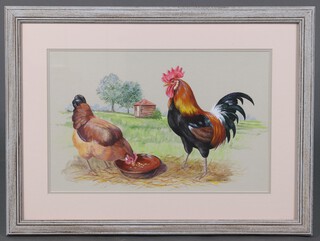 Janet Mitchell, watercolour "Farmyard Pair" a study of hen and cockerel 28cm x 44cm 