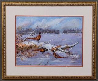 Janet Mitchell, watercolour "Rural England, Cold Feet", study of cock pheasants 30cm x 39cm 
