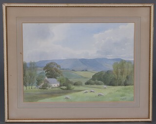 J E Butler, watercolour, rural scene with sheep, building and hills in distance 33cm x 46cm 