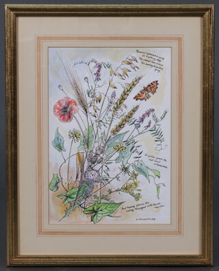 Frances Mountford, ink and watercolour, signed,  "Harvest Flowers" 32cm x 22cm  (Frances Mountford was a local artist who lived in South Holmwood at Betchetts Green)