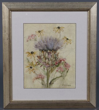 Cynara, a coloured print, study of a thistle 38cm x 29cm 