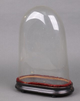 A Victorian arched glass dome on ebonised base 37cm x 22cm x 10cm 