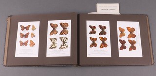 An album of Natural History postcards, mainly British Museum butterflies but also moths and birds eggs 