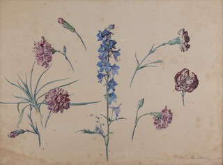 Eleanor Fortescue Brickdale (British, 1871-1945), Botanicals, late 19th/early 20th century watercolour, signed in pencil, 37cm x 51cm, within a stained wood frame.