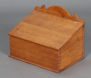 A light elm box with raised back and hinged sloping lid 26cm h x 34cm w x 25cm d 