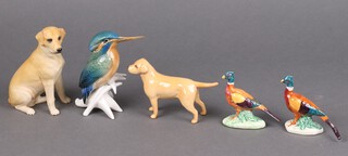 An Aynsley porcelain figure of a labradorite 11cm, a Beswick figure of a standing Labrador 7cm, a Continental figure of a Kingfisher, two figures of cock pheasants