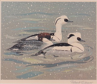 **Robert Gillmor (1936-2022), Smew Ducks, 20th century colour print, signed in pencil, 17cm x 21cm, within a silvered frame.** Please note, Artists Resale Rights may be payable on this lot