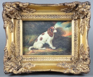 Reproduction coloured print of a seated Spaniel, 11h x 16w,  in a decorative gilt frame 