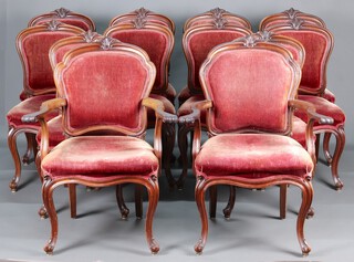 A set of 12 Continental carved mahogany show frame dining chairs the seats of serpentine outline, upholstered in pink material, comprising 2 carvers 101cm h x 73cm w x 46cm d and 10 standard chairs, raised on cabriole supports  96cm h x 48cm w x 43cm d 
