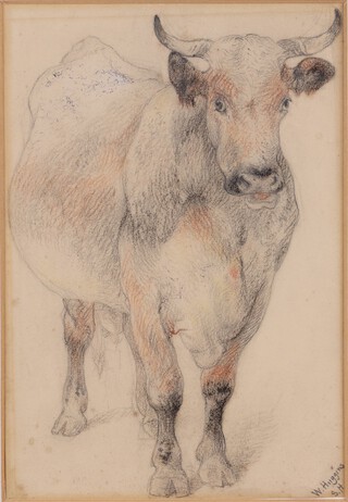 William Huggins (1820-1884), Study of a Cow, pencil, charcoal and sanguine, signed, 26cm x 18cm, within a gilt frame.