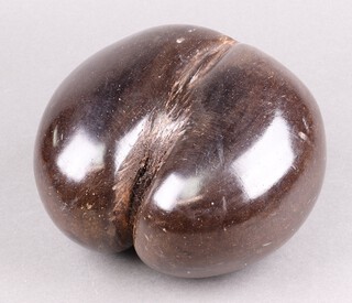 A Coco de Mer or sea coconut nut (Lodoicea maldivica), 13cm h x 17cm w x 17cm d