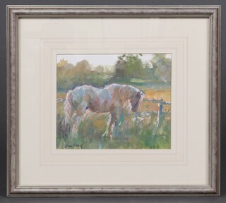 Watercolour, study of a standing grey horse, indistinctly signed to bottom left corner, 18cm x 22cm 