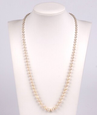 A single row of cultured pearls with Sterling silver bow shaped clasp 50cm