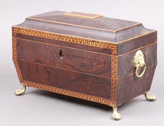 A Regency inlaid rosewood tea caddy with hinged lid, fitted mixing bowl receptacle and 2 caddies with hinged lids, having gilt painted lion ring drop handles to the sides and on ball and claw supports 17cm h x 30cm w x 16cm d 