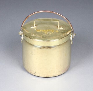 A 19th Century polished brass cooking pot/coal bin with lid and  polished steel handle 29cm 