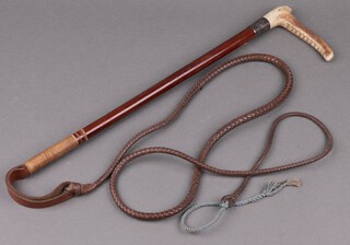 A hunting whip with stag horn handled, thong and lash 