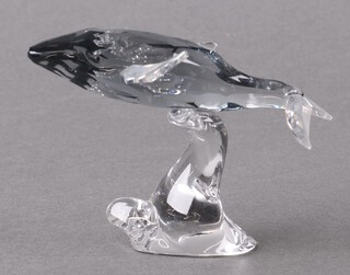 A Swarovski Crystal  2012 SCS figure of a whale - Young Whale 6cm, boxed