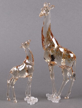 Two Swarovski Crystal  2018 SCS figures of giraffes - Mudiwa and Baby 19cm and 12cm, in orange, both boxed 