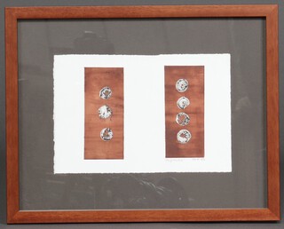 Margaret Crowhurst, Solar Plate Papaver, monogrammed MFC 18cm x 28cm 