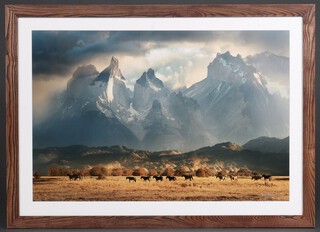Chris Byrn, coloured photograph "Wild Hart" 60cm x 90cm 