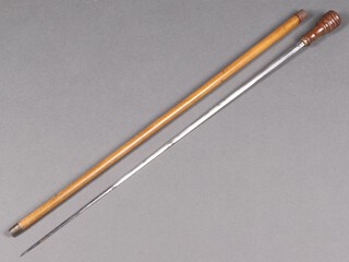 A 19th Century double bladed sword stick with 72cm blade, contained in a Malacca cane 