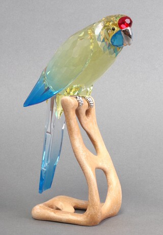 A Swarovski Crystal 2010 figure of a parrot - Green Rosella on a wooden perch 21cm, boxed 