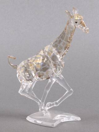 A Swarovski Crystal figure - Giraffe Running 18cm, boxed