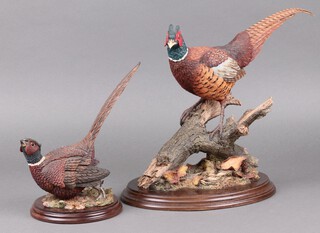A Country Artists resin figure of a standing cock pheasant 30cm together with a Thistle Green figure of a cock pheasant TG204 24cm 