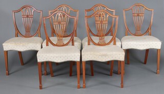 A set of 6 Hepplewhite style panel back dining chairs with overstuffed seats, raised on square supports 