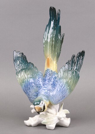 Karl Ens, a 20th century porcelain figure of a Macaw with wings spread in diving motion, the base impressed 8116, 35cm h