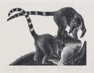 Nora Spicer Unwin (1907-1982), "Coati Bears", wood-engraving on Japanese paper, signed, titled and editioned 6/50 in pencil recto, artist's label verso, 8cm x 11cm, within a painted wood frame.